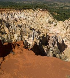 Parc National Ankarafantsika