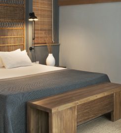 The Ravenala Attitude