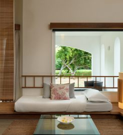 The Ravenala Attitude