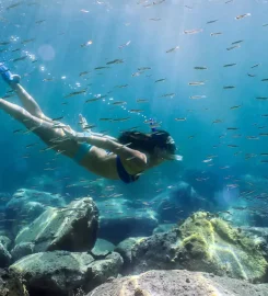 Four Seasons Resort Mauritius