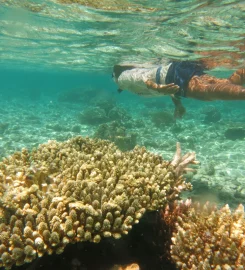 Parc naturel marin de Mayotte