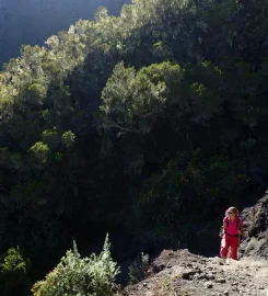 Alizés Montagnes