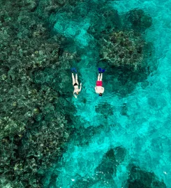 Angel Tours Seychelles