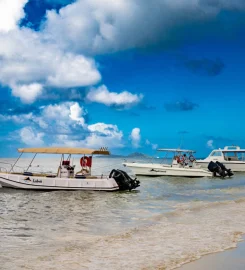 Angel Tours Seychelles