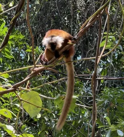 Antoremba Ecolodge