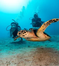 Atoll Divers