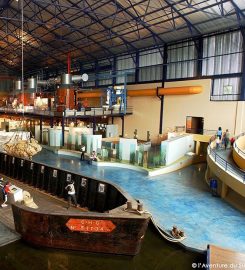 L’aventure du sucre