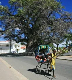 Baobab Tree Hotel & Spa