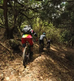 Bike Aventure