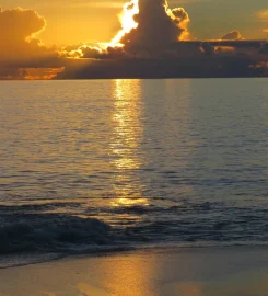 Bird Island Seychelles