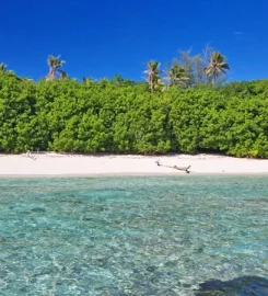 Bird Island Seychelles