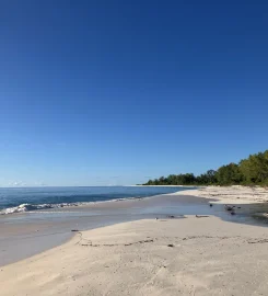 Bird Island Seychelles