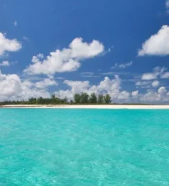 Bird Island Seychelles