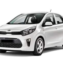 Pingouin Car Rental