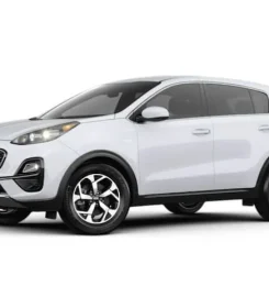 Pingouin Car Rental