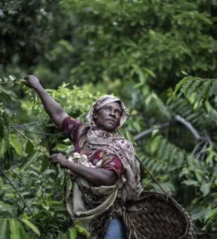 Comoros and Mayotte Tours