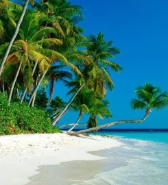 Comoros Discover