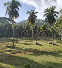 Le Domaine de Flore