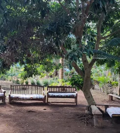 Le Domaine de Flore