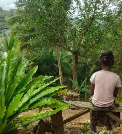 Le Domaine de Flore