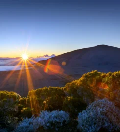 Elite Tour Réunion