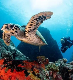 Équinoxe Diving School