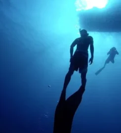 Équinoxe Diving School