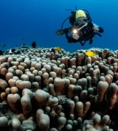 Équinoxe Diving School