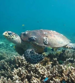 Escapades Madagascar