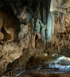 François Leguat Giant Tortoise and Cave Reserve