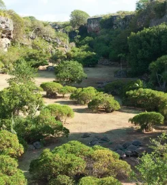 François Leguat Giant Tortoise and Cave Reserve