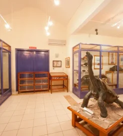 François Leguat Giant Tortoise and Cave Reserve