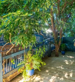 Le Jardin de Ravintsara Lodge & Spa