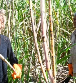 L’Aventure du Sucre