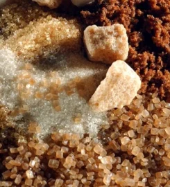 L’Aventure du Sucre