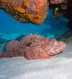 Exploration Sous-Marine