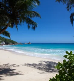 Anse Soleil Beachcomber
