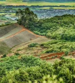 Nature Trails Mauritius