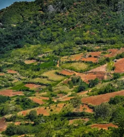 Nature Trails Mauritius