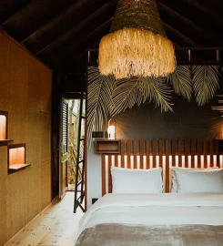 Kanopea Forest Lodge