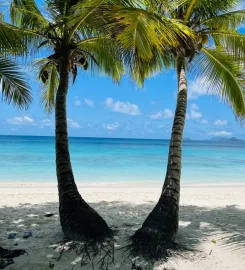 Island Tour Seychelles