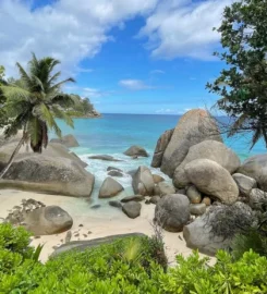 Island Tour Seychelles
