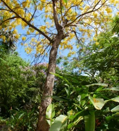 Jardin d’Eden