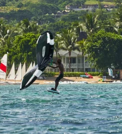 KiteGlobing