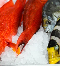 Le Pescatore