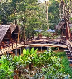 Madaverte – Madagascar Découverte