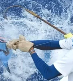 Maranatha Big Game Fishing