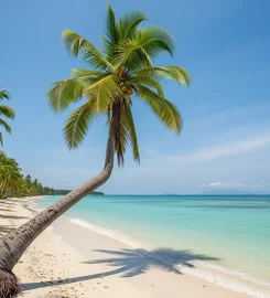 Massilia Voyages Océan Indien