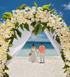 Seychelles Travel and Tours