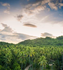 North Island